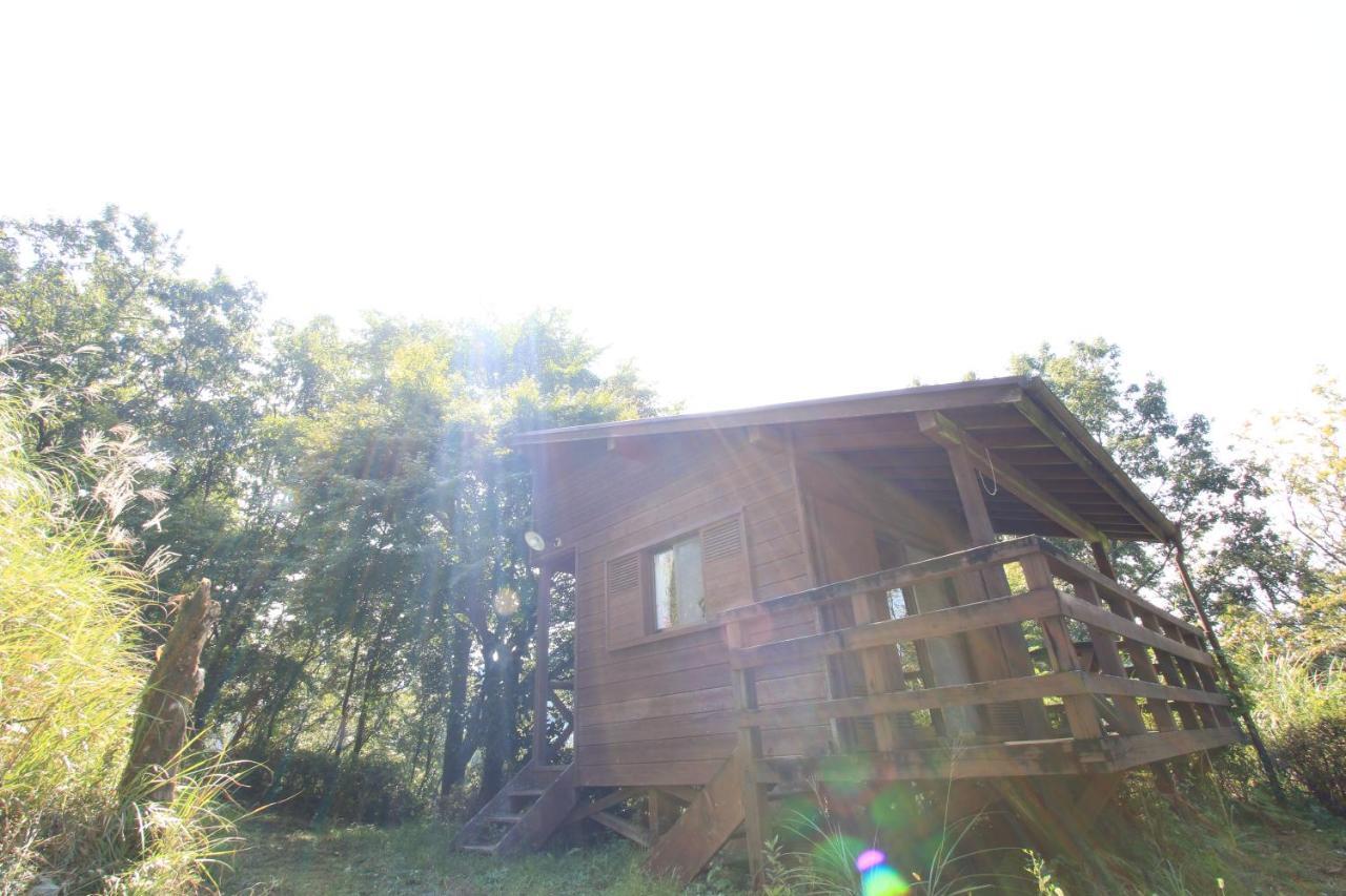 Gokase Campsite Camping And Guesthouse Kültér fotó